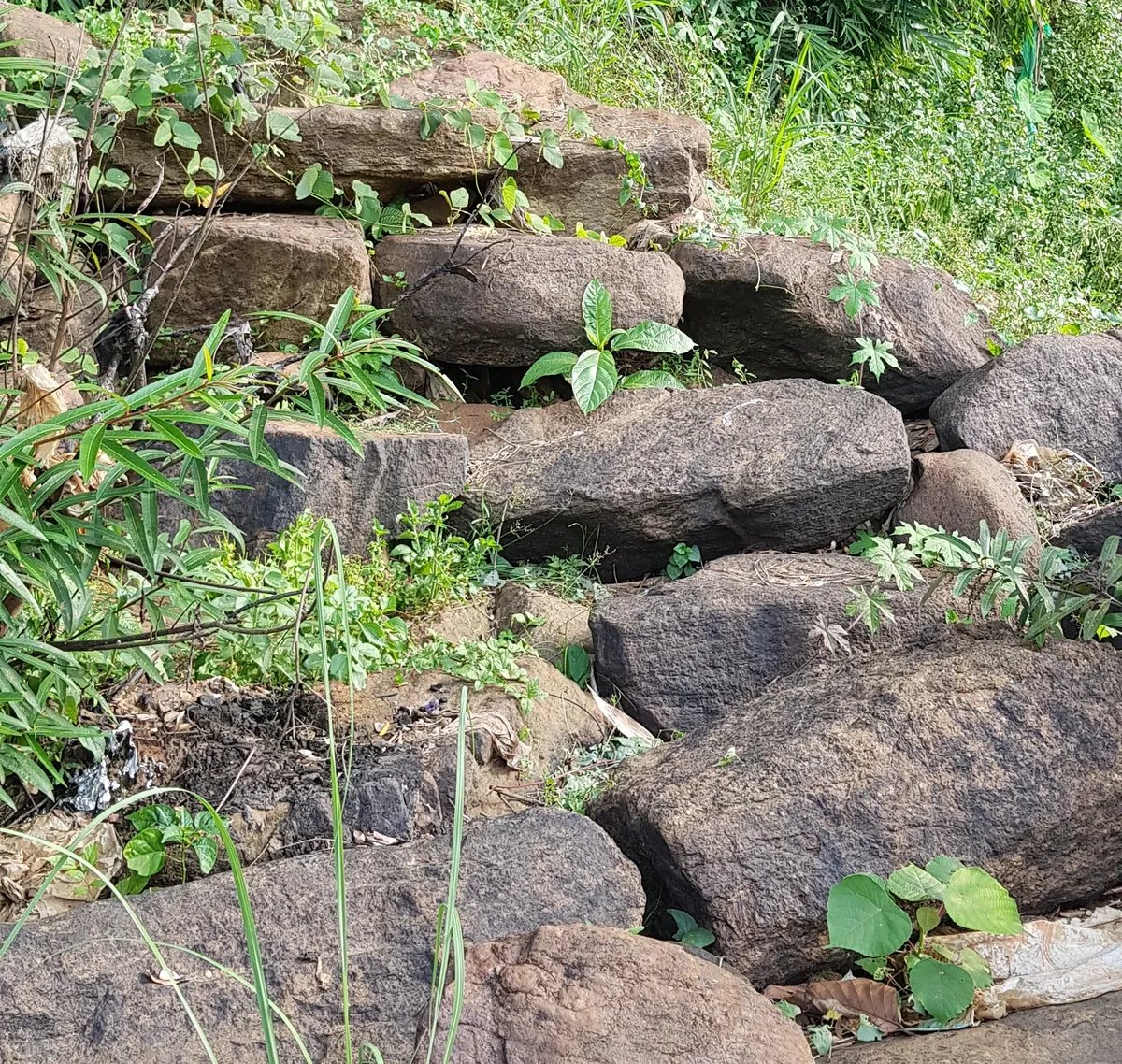 The Steps Nobody Built